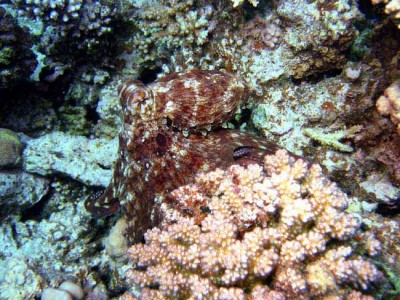 IMG_3284 о.jpg