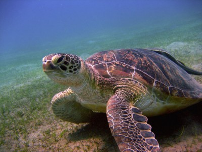 IMG_2763 о.jpg