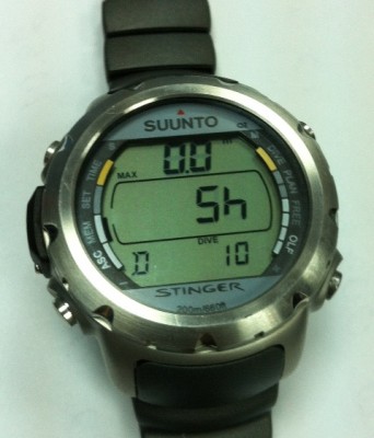 image1.jpeg