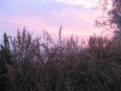 IMG_0221.jpg