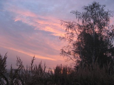 IMG_0219.jpg