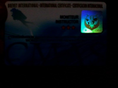 IMG0486A.jpg