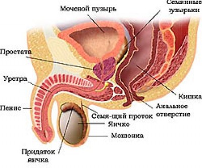 43be2e2a94e36.jpg