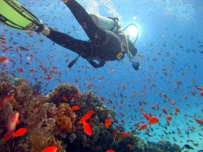 CRW_5748_.jpg