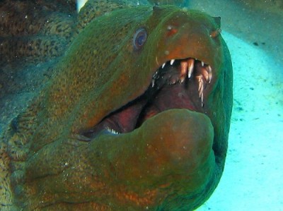 CRW_5735__.jpg