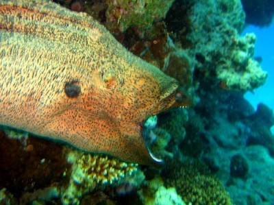 CRW_5661_.jpg