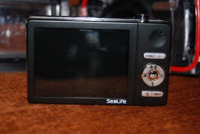 DSC_5666.JPG