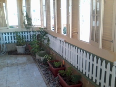 IMG0535A.jpg