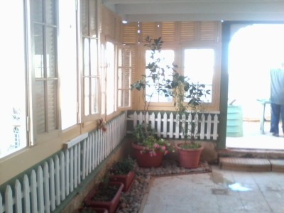 IMG0536A.jpg