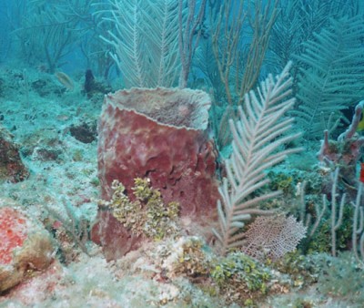 R001-027.jpg