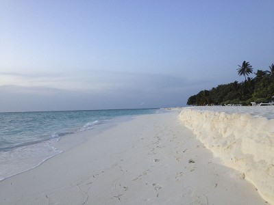 IMG_3237.jpg