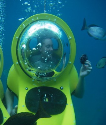 BobDiving2.jpg