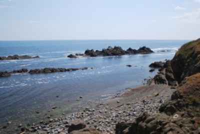 DSC_2492.JPG