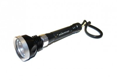 810-es[580l400].jpg