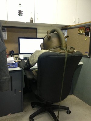 daily_picdump_1129_81.jpg