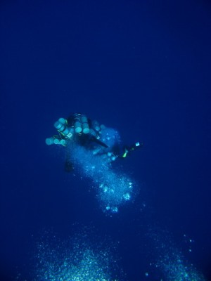 IMG_1521_.jpg