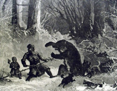 medved_.jpg