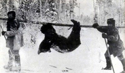 medved.jpg