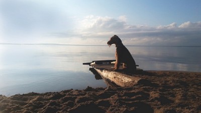 1 (11).jpg