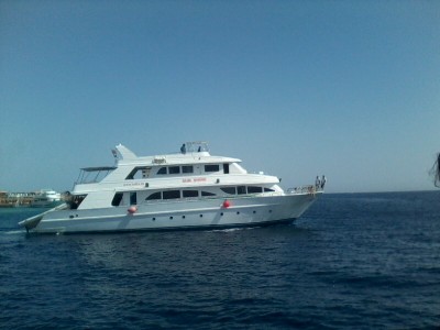 IMG0657A.jpg