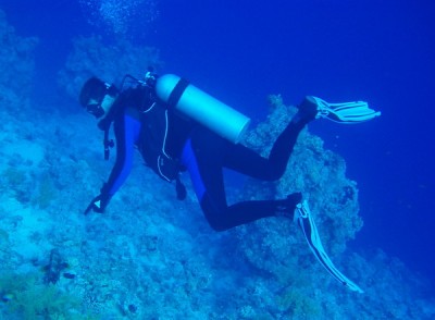 reef touch.jpg