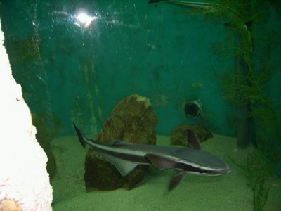 IMG_0689.JPG