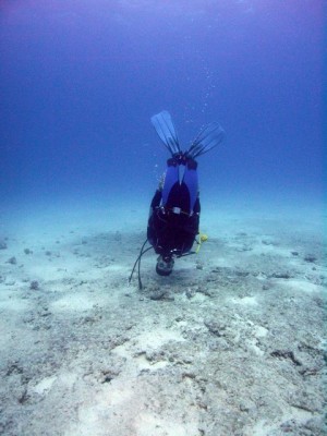 M0012891_2.jpg