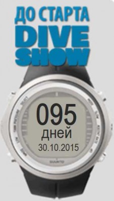 95.jpg