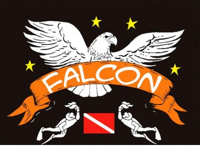 falcondive.jpg