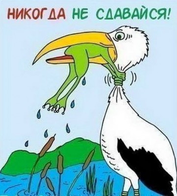 Никогда не сдавайся!.jpg