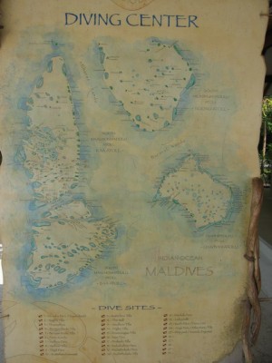 38089106.IMG_0711.JPG.jpg