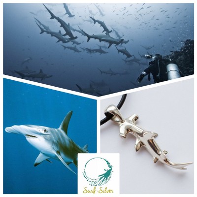 sm_hammerhead_shark_surfsilver.jpg