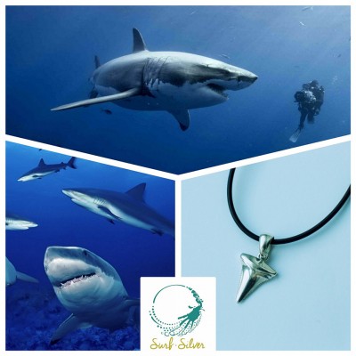 sm_tooth_shark_surfsilver.jpg
