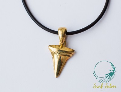 1_zub_shark_gold_logo_surfsilver.jpg