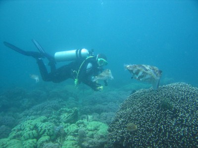 IMG_8657_n.jpg