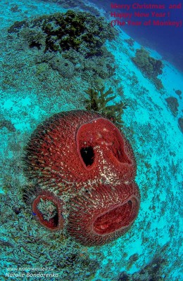 DSC_00822small1.jpg