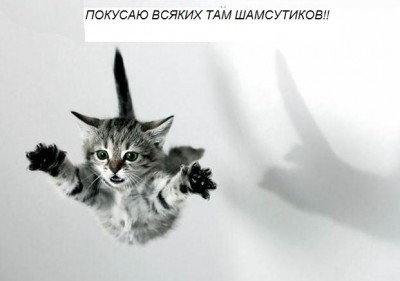 ПОКУСАЮ!.JPG