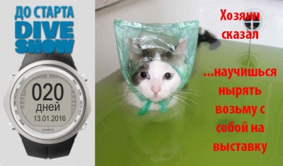 kote_20.jpg