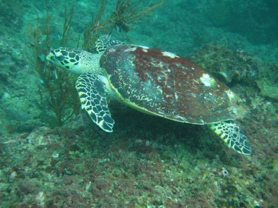 IMG_7875.JPG