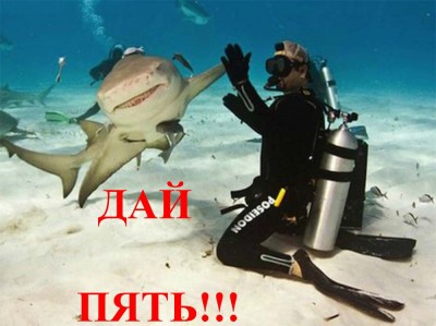 iZlzWLI.jpg