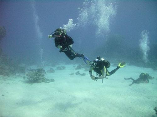 IMAG0094.jpg