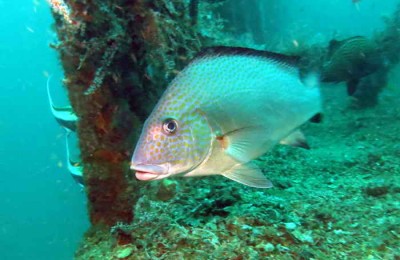 IMG_1283 3.jpg