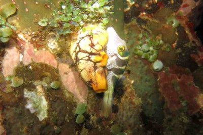 IMG_1754 4.jpg