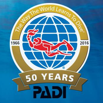 padi50.jpg