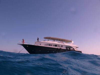 shehab-boat.jpg