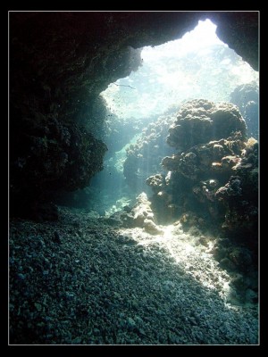 M0011988.jpg