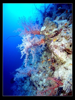 M0012333.jpg