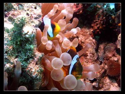 M0012820.jpg