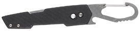415623_forcesnap_1[1].png