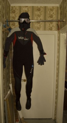 Diver.jpg
